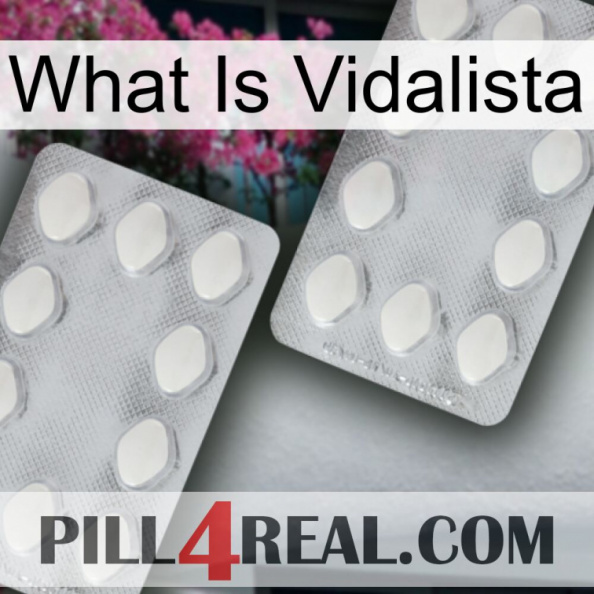 What Is Vidalista 17.jpg